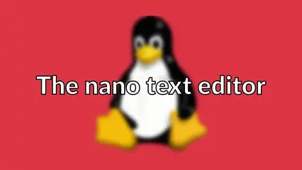 The nano text editor